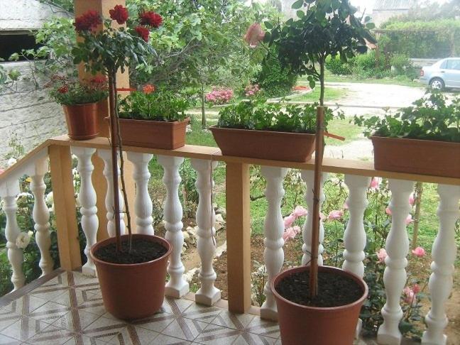 Apartment In Nin With Terrace, Air Conditioning, Wi-Fi מראה חיצוני תמונה